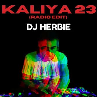 Kaliya 23 (Radio Edit) by DJ Herbie