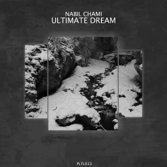 Ultimate Dream by Nabil Chami