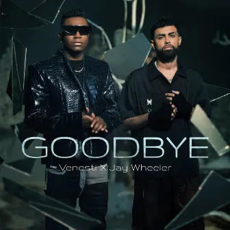 Goodbye by Venesti