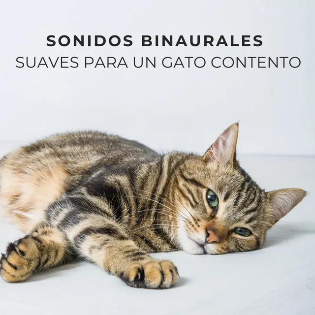 Binauralidades