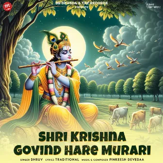 Shri Krishna Govind Hare Murari by Dhruv