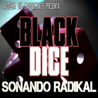 Sonando Radikal by Black Dice