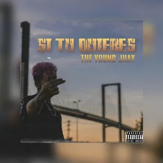 Si Tú Quieres by Young Jhay