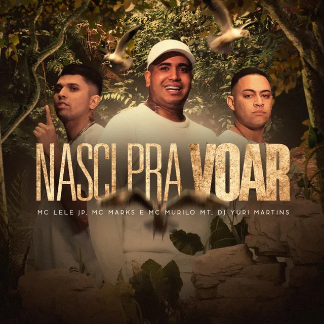 Nasci pra Voar