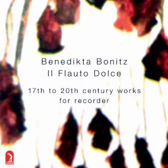 Il Flauto Dolce: 17th to 20th Century Works for Recorder by Benedikta Bonitz