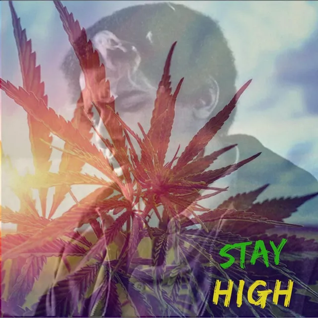 Stay High