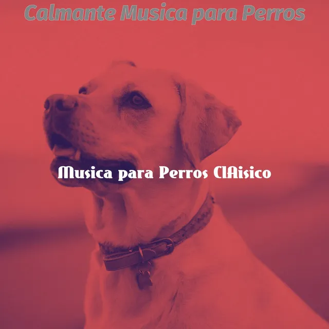 Calmante Musica para Perros