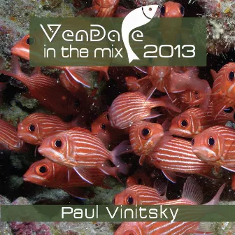 Vendace In The Mix 2013 by Paul Vinitsky