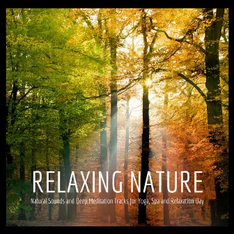 Relaxing Nature - Natural Sounds and Deep Meditation Tracks for Yoga, Spa and Relaxation Day by Unknown Artist