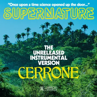 Supernature (instrumental) by Cerrone