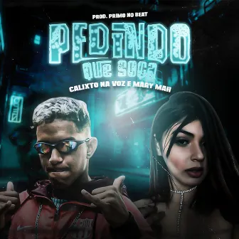 Pedindo Que Soca by Calixto na Voz