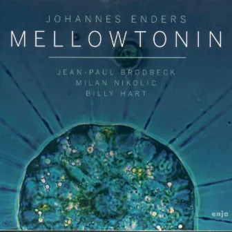 Mellowtonin by Johannes Enders