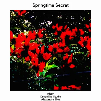 Springtime Secret by Alexandre Elias