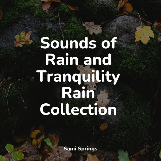 Sounds of Rain and Tranquility Rain Collection