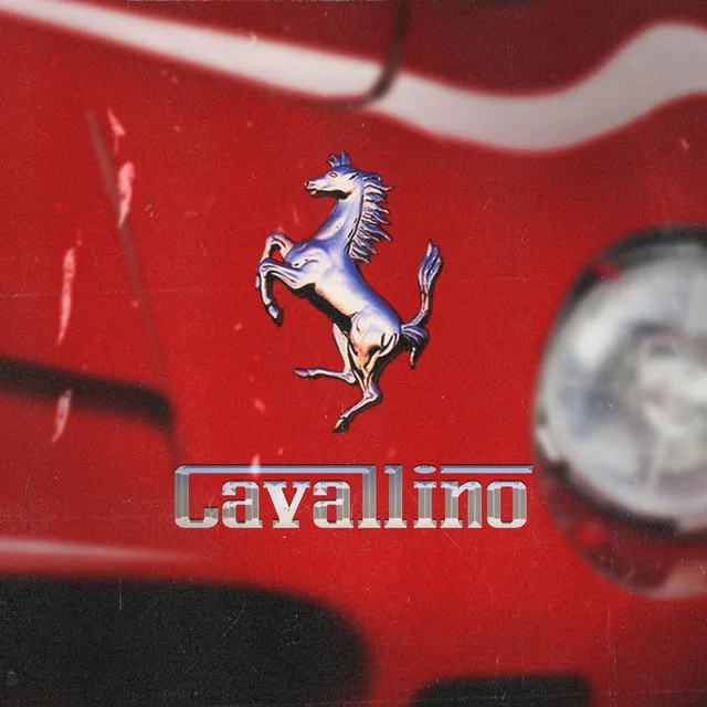 Cavallino