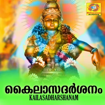 Kailasadharshanam by Vygaprasad