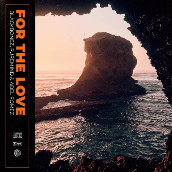 For The Love by PureMiND