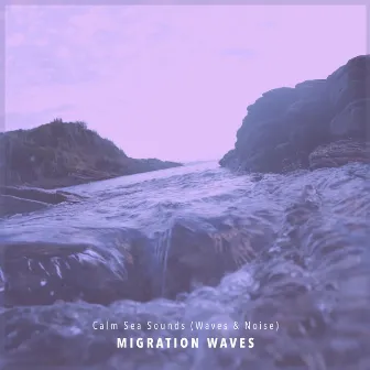 Calm Sea Sounds (Waves & Noise) by Migration Waves