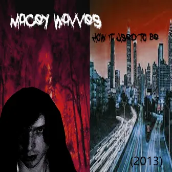 How It Used to Be (2013) by Macey Wavves