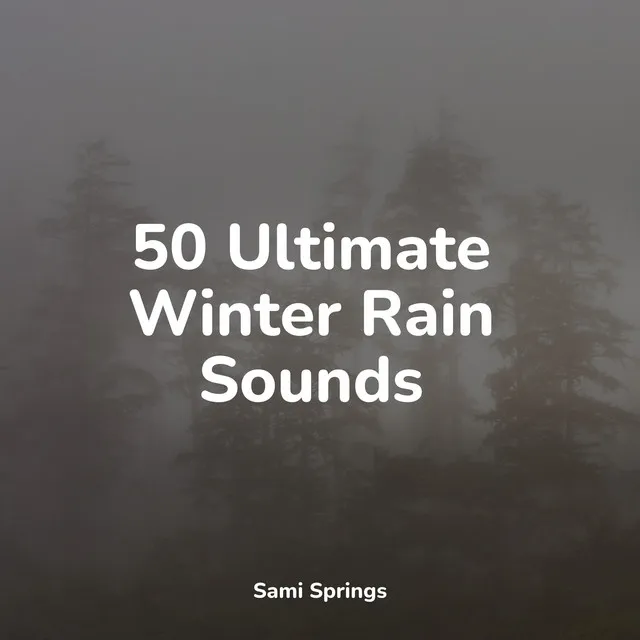 50 Ultimate Winter Rain Sounds