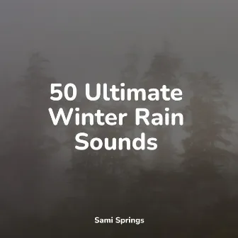 50 Ultimate Winter Rain Sounds by Children's Music