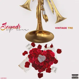 Sounds of Love by Vintage Tre