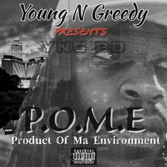 Product Of Ma Environment by Young N Greedy