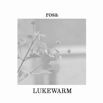 lukewarm by Rosa