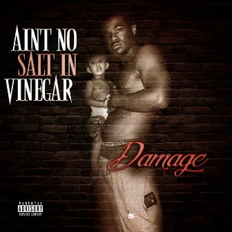 Aint No Salt In Vinegar by Damage