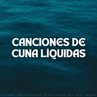 Canciones De Cuna Líquidas: El Poder Restaurador De La Meditación De Lluvia Y Búhos by Danny sonidos de lluvia