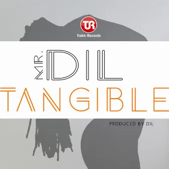 Tangible by Mr Dil