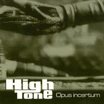 Opus Incertum by High Tone