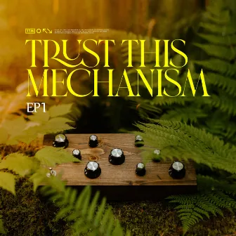 EP1 by Trust This Mechanism