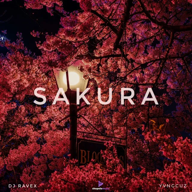 Sakura