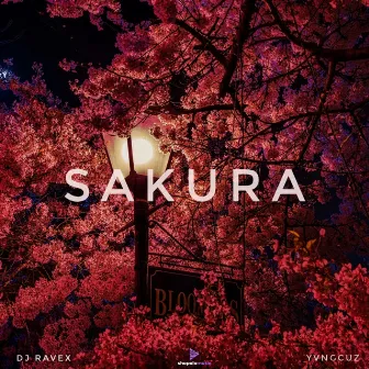 Sakura by DJ RAVEX