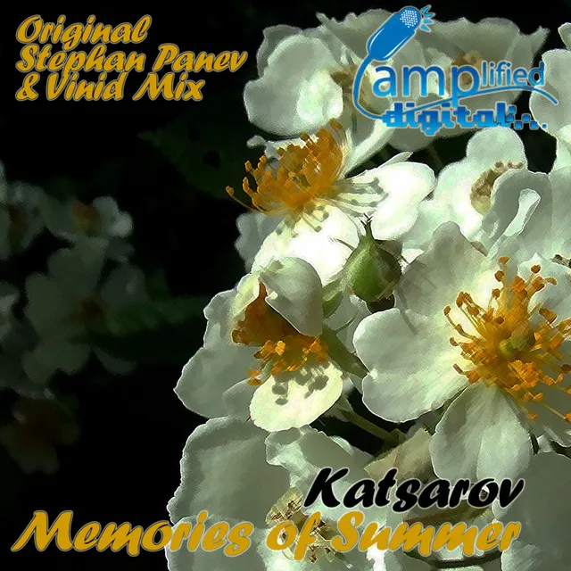 Memories of Summer - Stephan Panev Remix