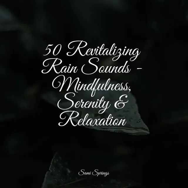 50 Revitalizing Rain Sounds - Mindfulness, Serenity & Relaxation