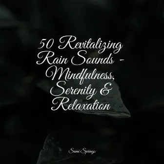 50 Revitalizing Rain Sounds - Mindfulness, Serenity & Relaxation by Ambient Nature project