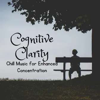 Cognitive Clarity: Chill Music for Enhanced Concentration by The Silent Minds