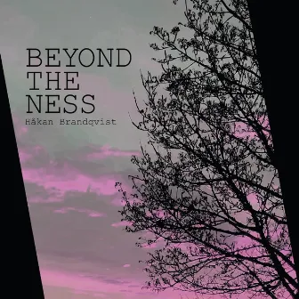 Beyond the ness by Hakan Brandqvist