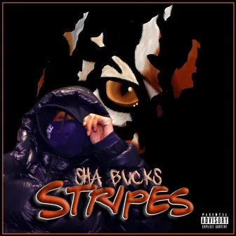 STRIPES by Sha Bucks