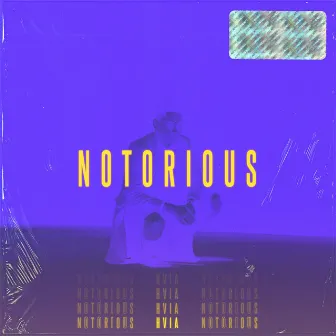 Notorious by HVIA