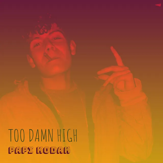 Too Damn High