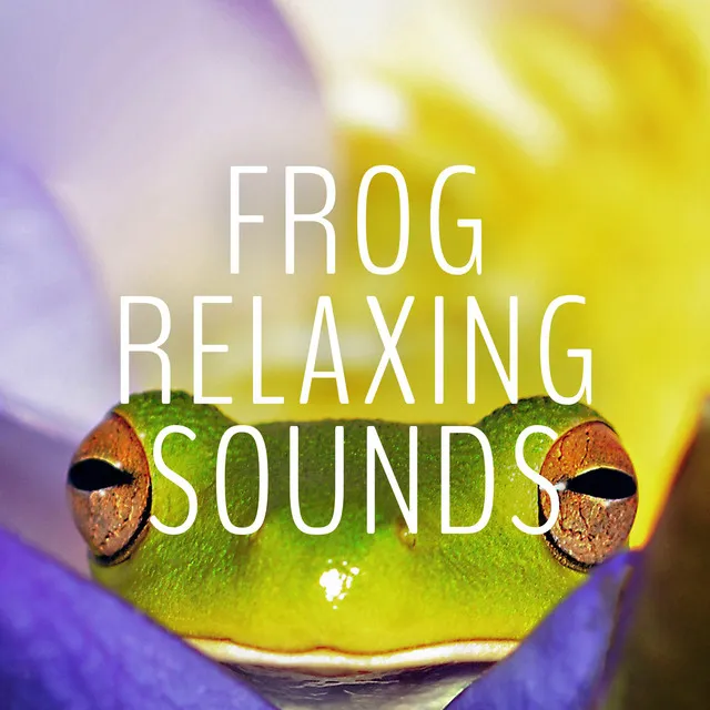 Frog Relaxing Sounds