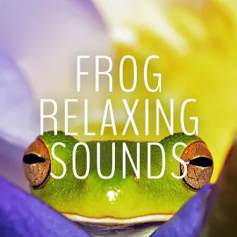 Frog Relaxing Sounds by Sleep Crickets