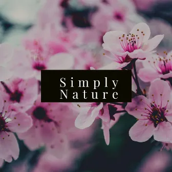 Simply Nature by Latium