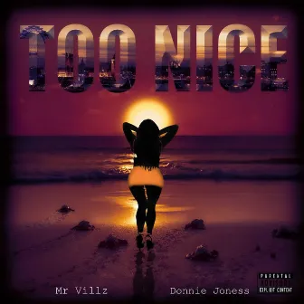 Too Nice by Donnie Joness