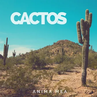 Cactos by Anima Mea