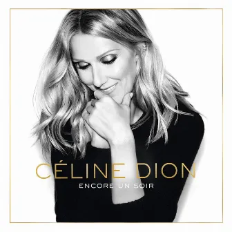 Encore un soir by Céline Dion