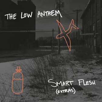 Smart Flesh Extras by The Low Anthem